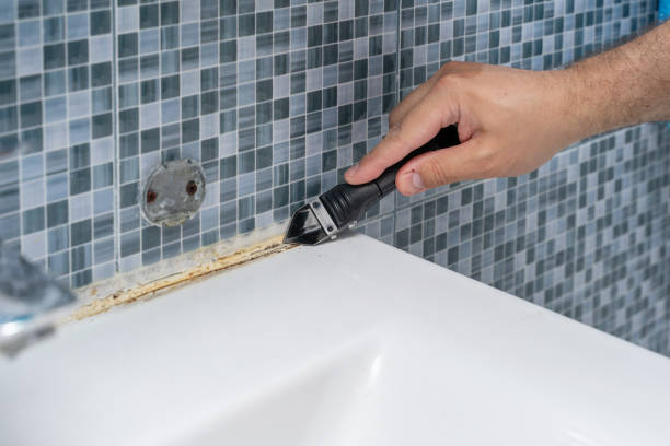 Best Mold Testing  in Kincaid, IL